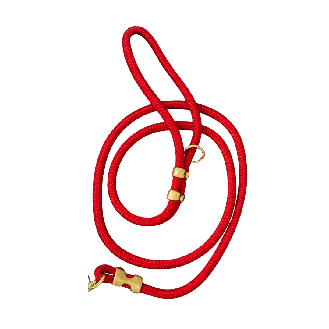 Walk of Champions Leash