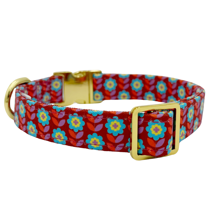 Poppy - Dog Collar