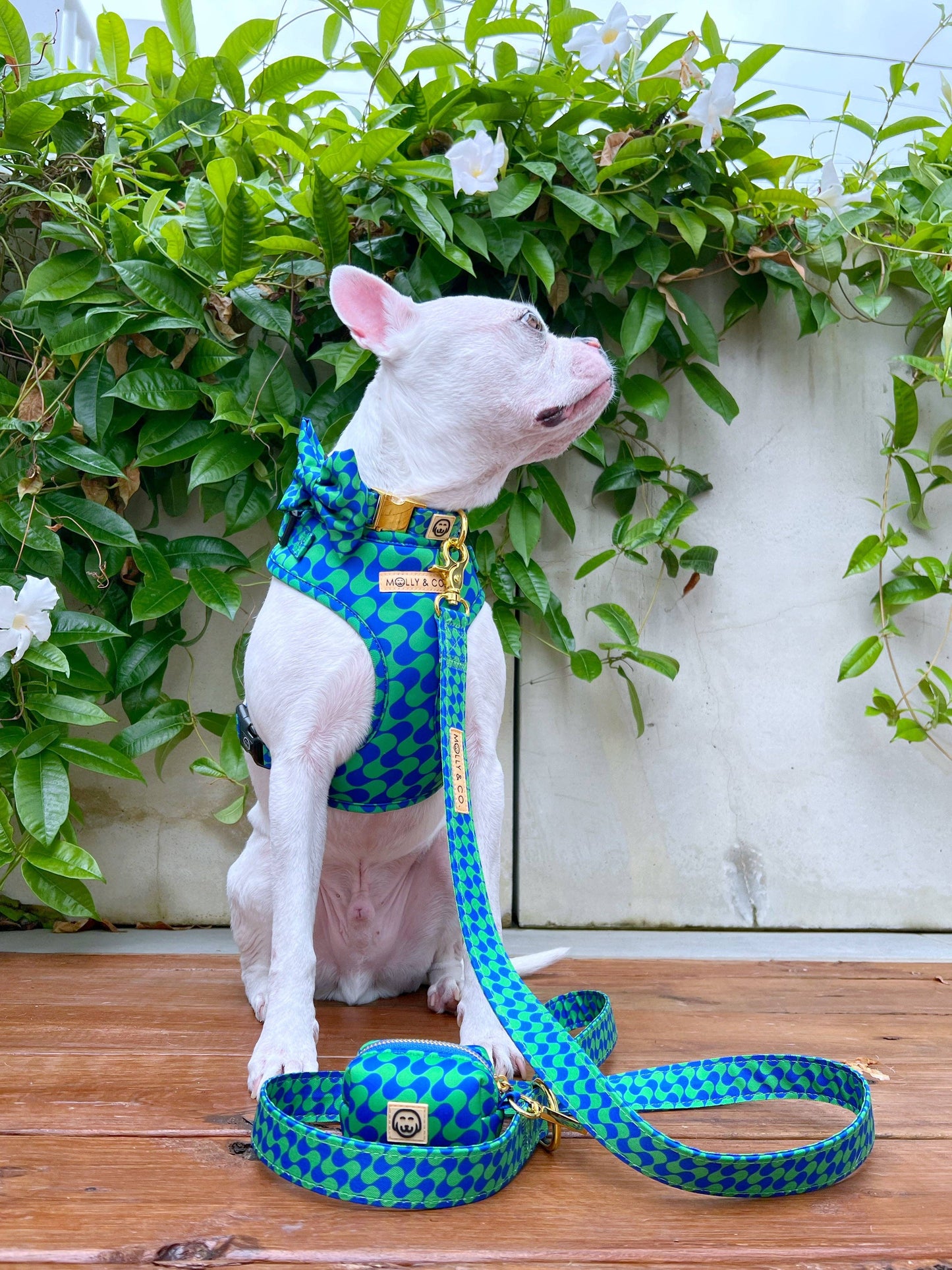 Forest - Adjustable Dog Harness