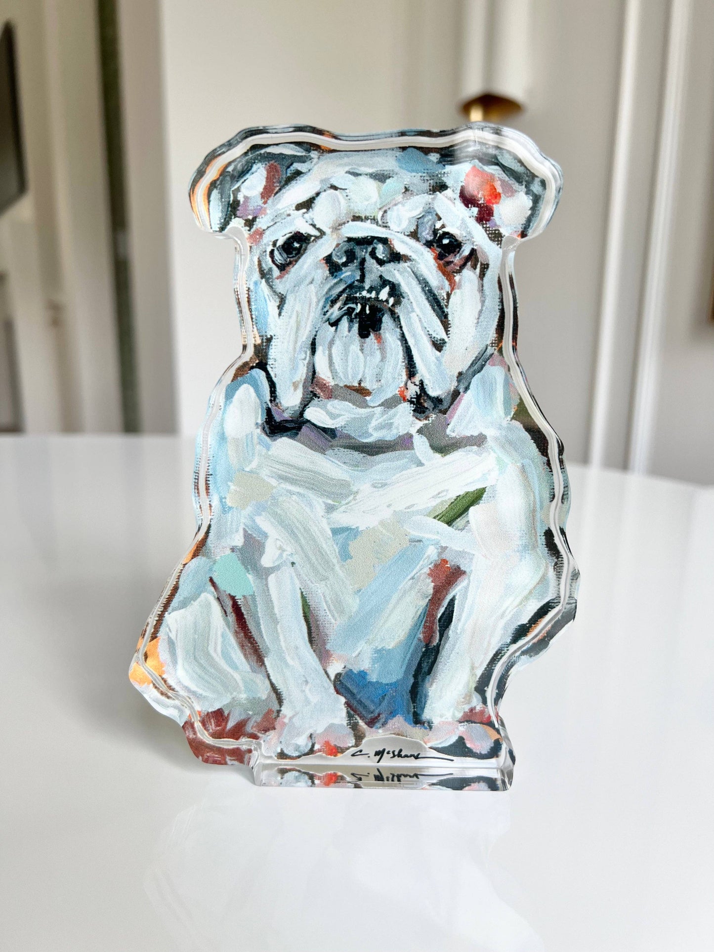 "English Bulldog White" acrylic shelfie