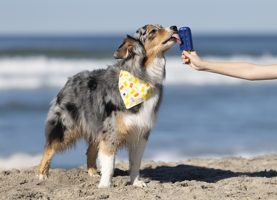 Popsicle Double Sided Tie & Snap Dog Bandana