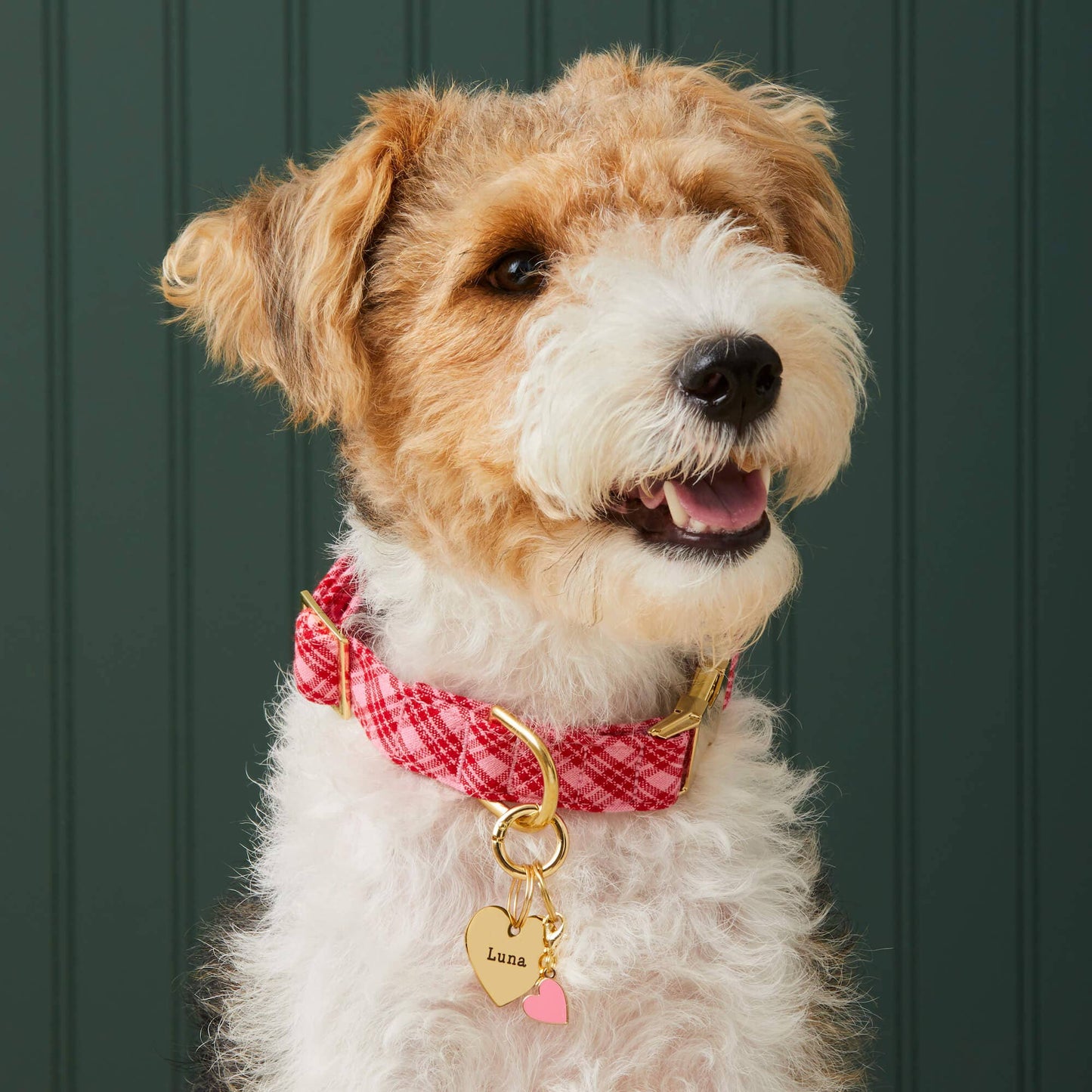 HTH x TFD Katherine Plaid Valentine's Day Dog Collar