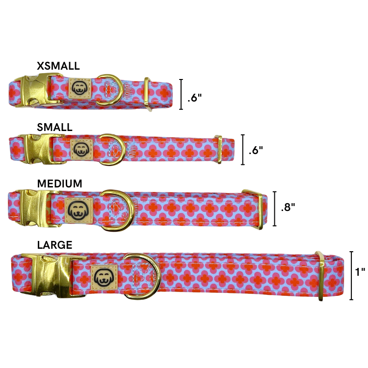 Venezia - Dog Collar