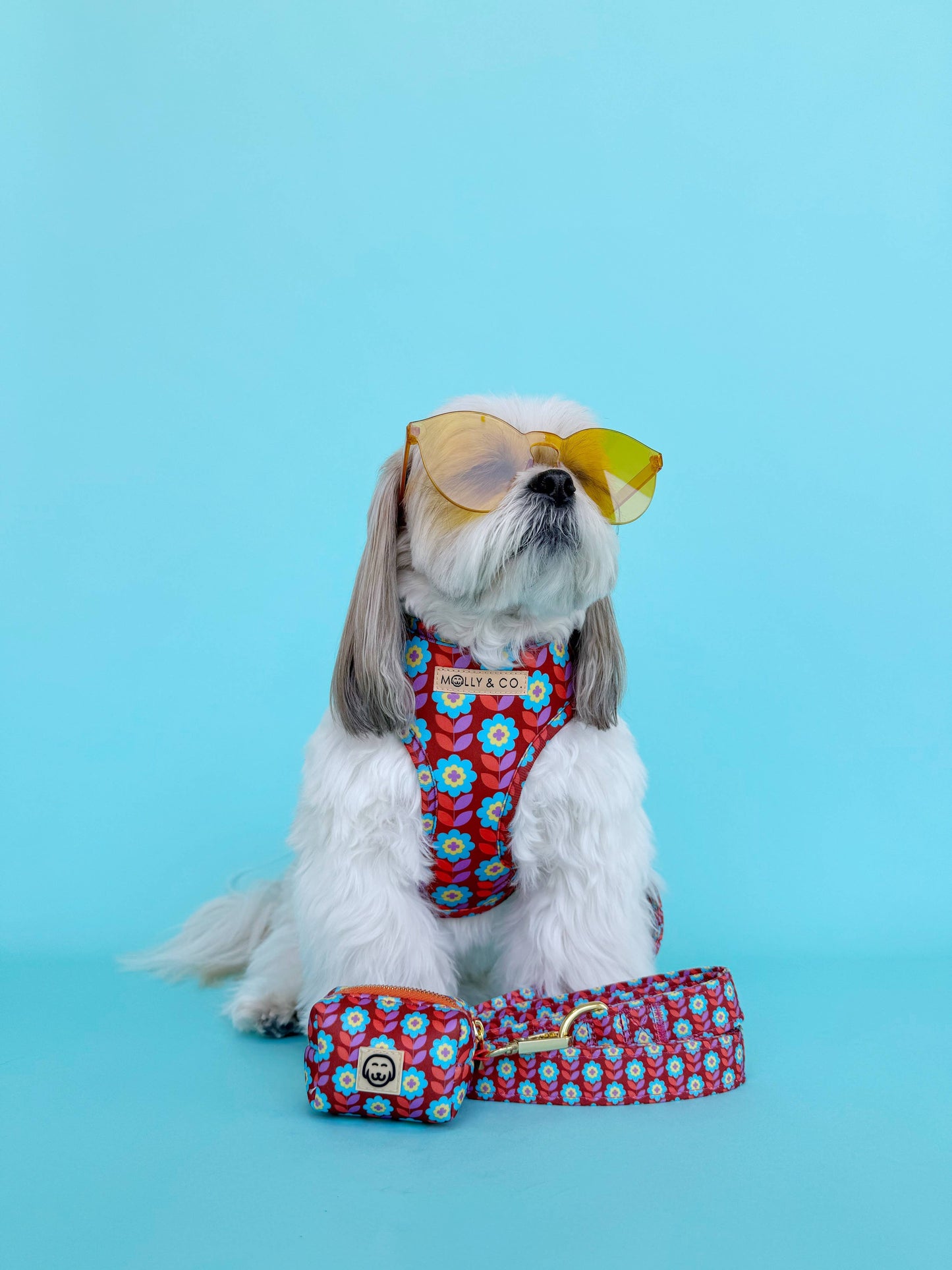 Poppy - Adjustable Dog Harness