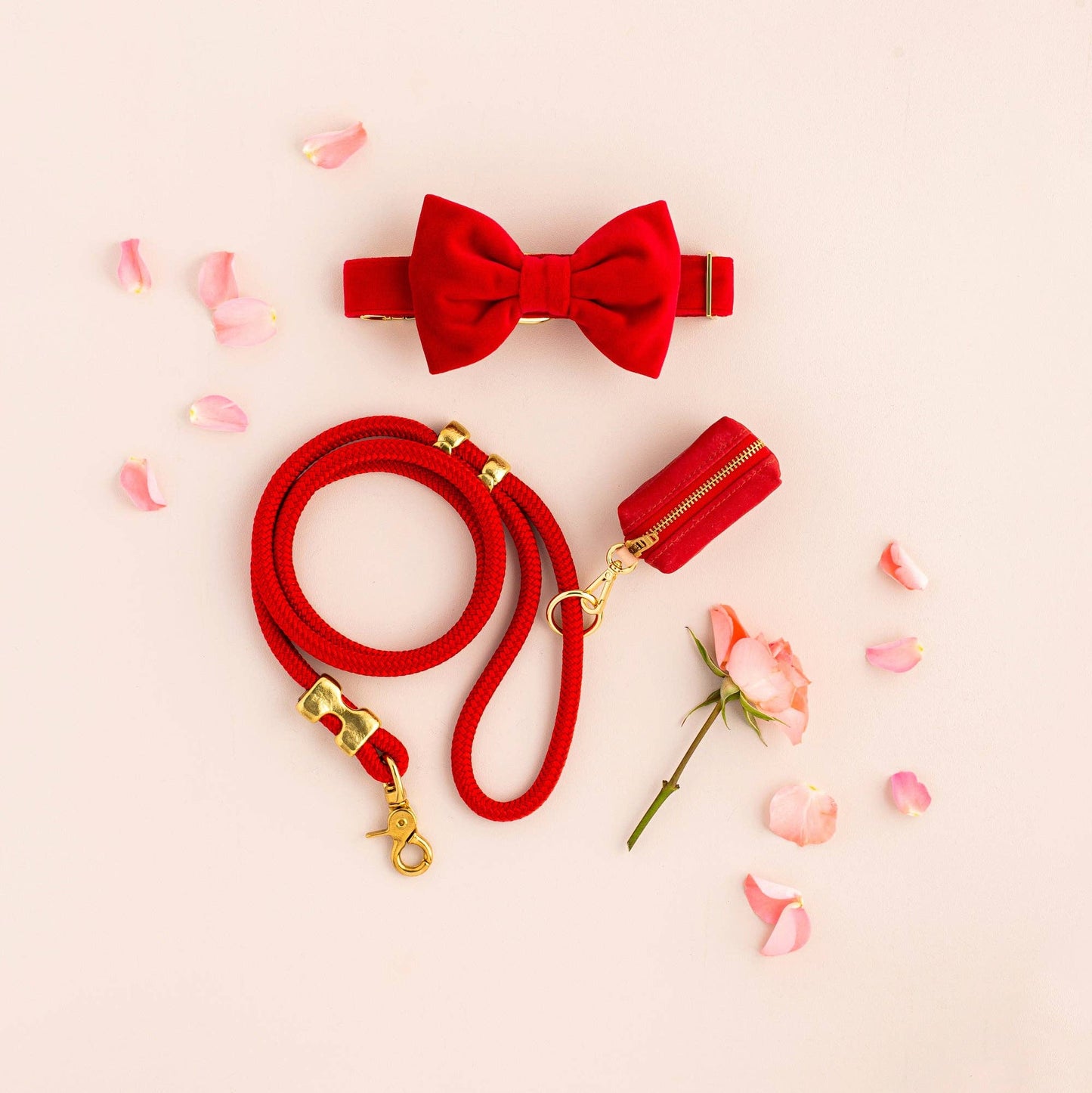 Ruby Valentine's Day Marine Rope Dog Leash