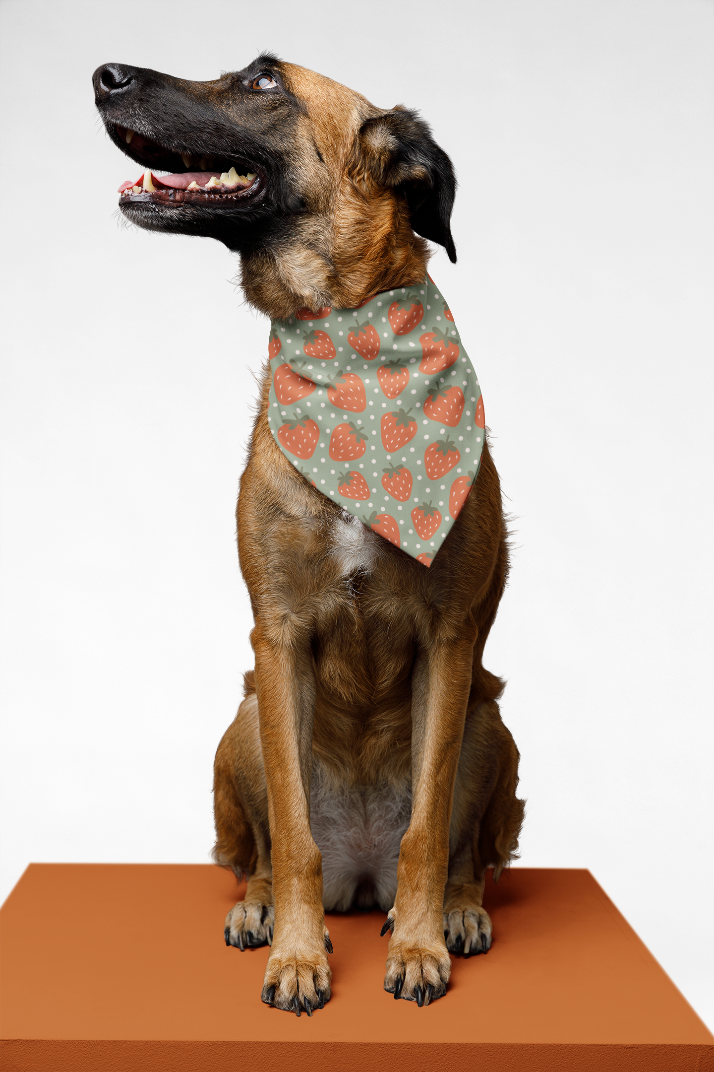 Strawberry & Watermelon Double Sided Tie & Snap Dog Bandana