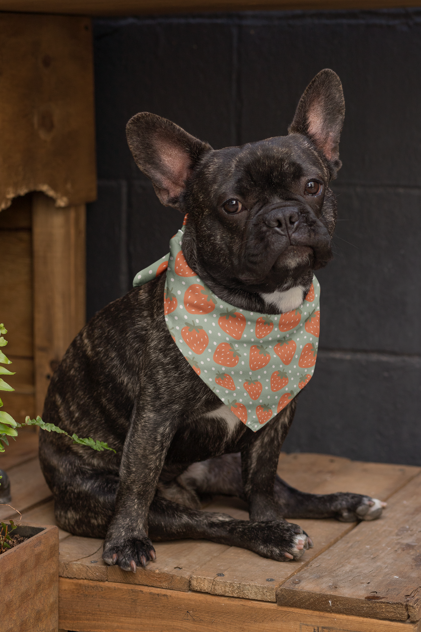 Strawberry & Watermelon Double Sided Tie & Snap Dog Bandana