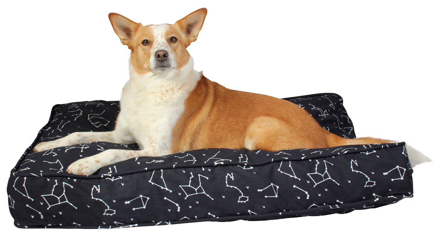 Rocketman Dog Duvet