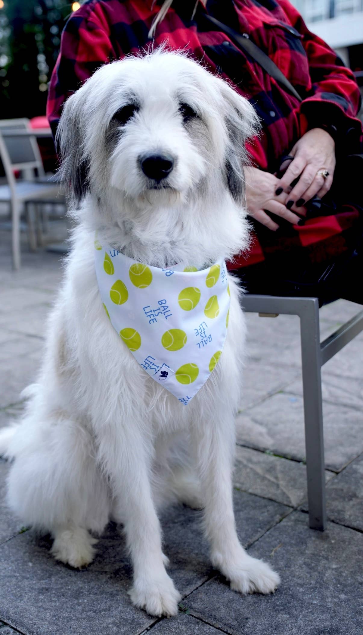 Ball Is Life Double Sided Tie & Snap Dog Bandana