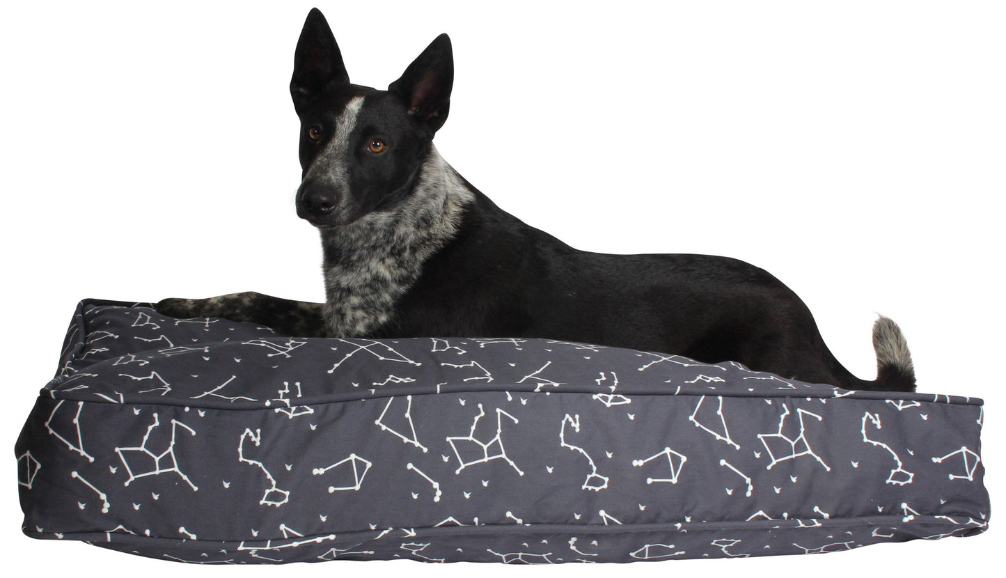 Rocketman Dog Duvet