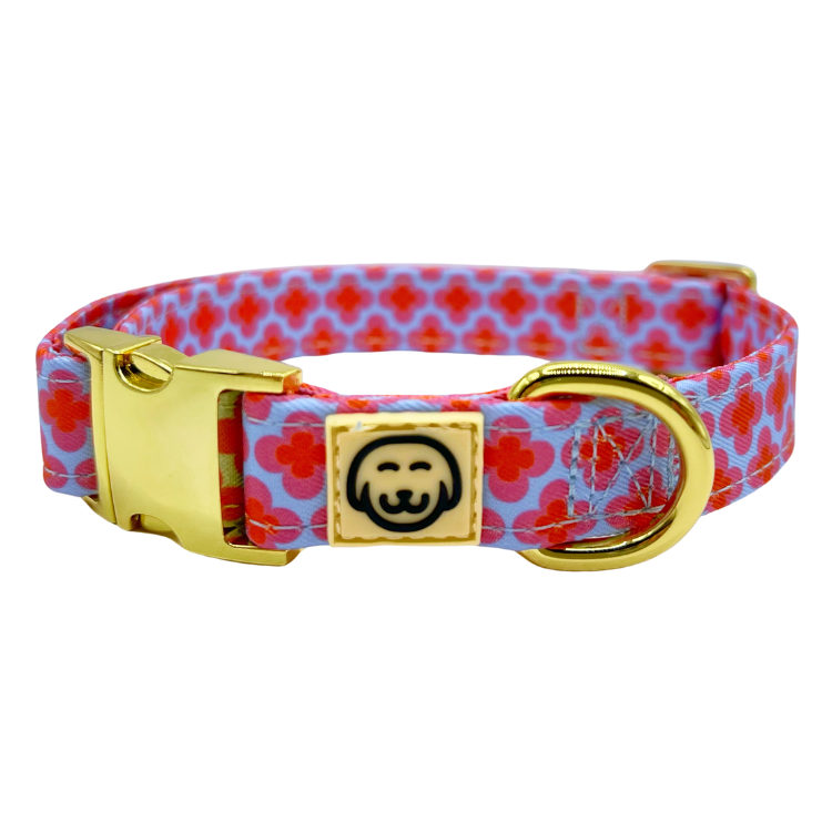 Venezia - Dog Collar