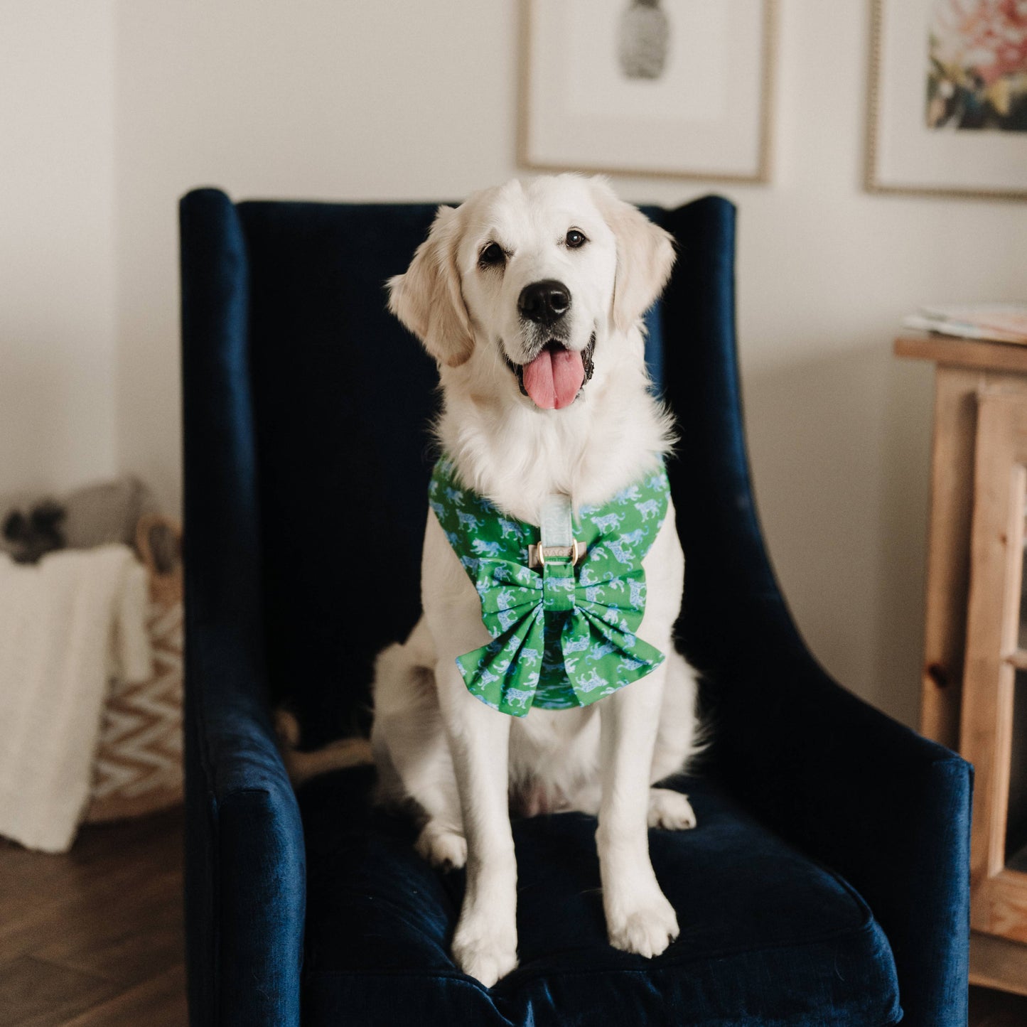Leopard Parade Sailor Dog Bow