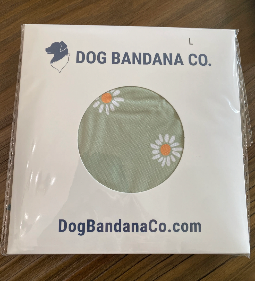 Strawberry & Watermelon Double Sided Tie & Snap Dog Bandana