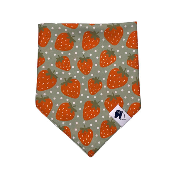 Strawberry & Watermelon Double Sided Tie & Snap Dog Bandana