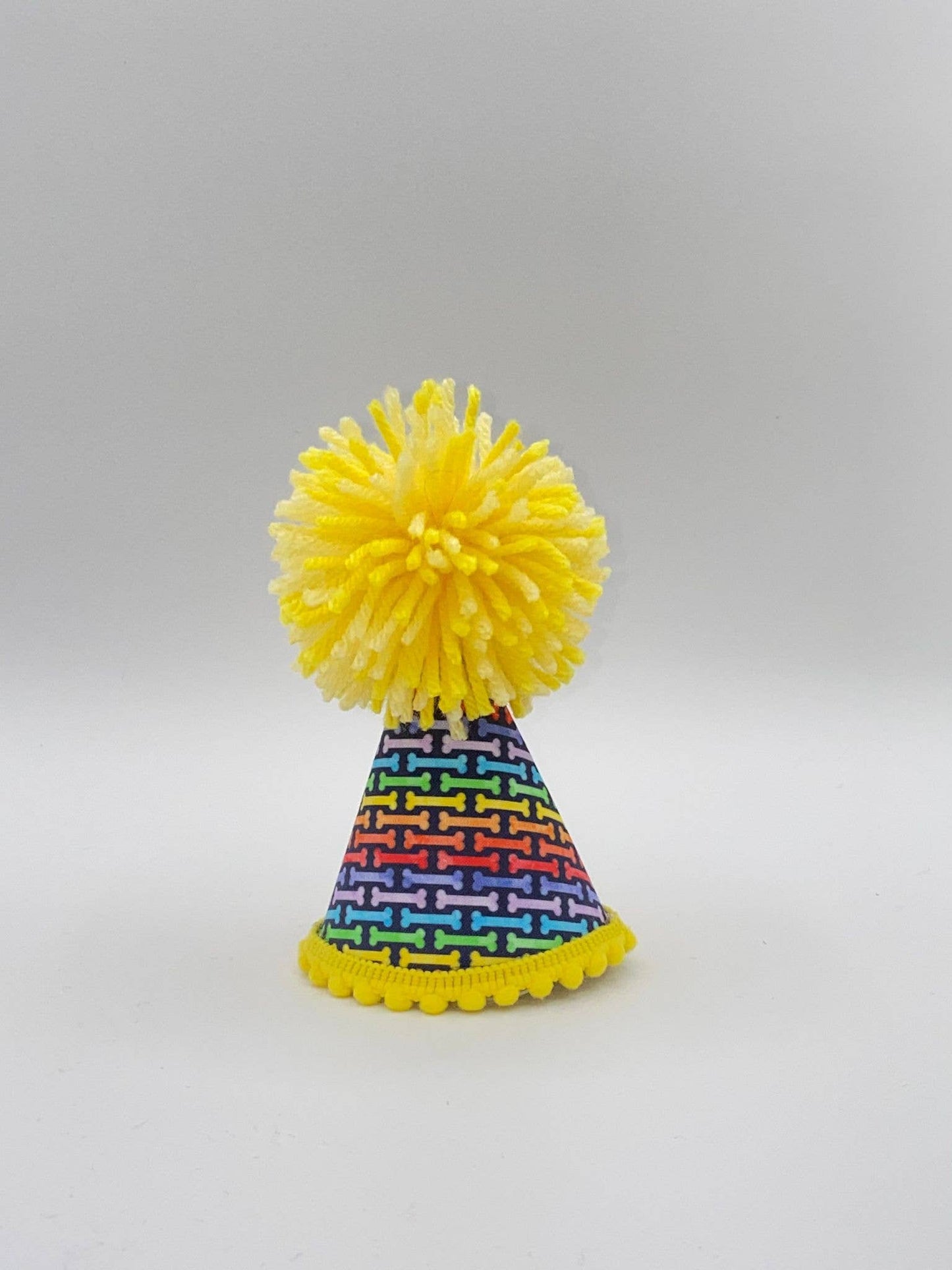 Rainbow Bones Party Hat