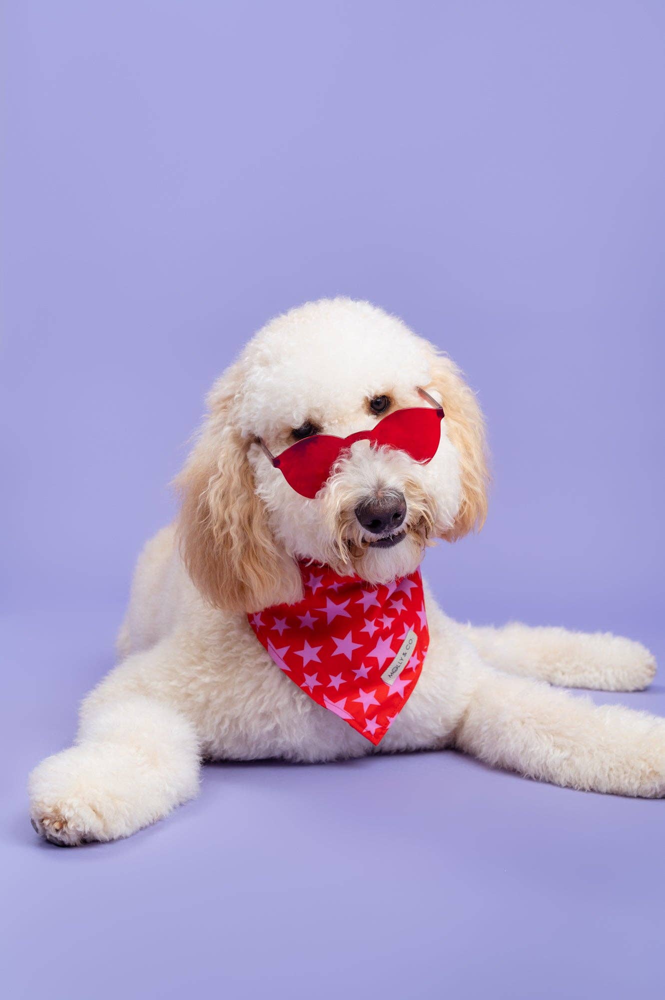 Wildflower - Reversible Dog Bandana