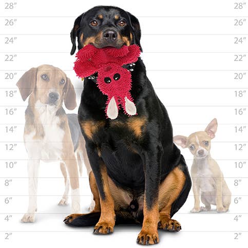 Mighty Microfiber Ball Med Rabbit, Durable, Squeaky Dog Toy