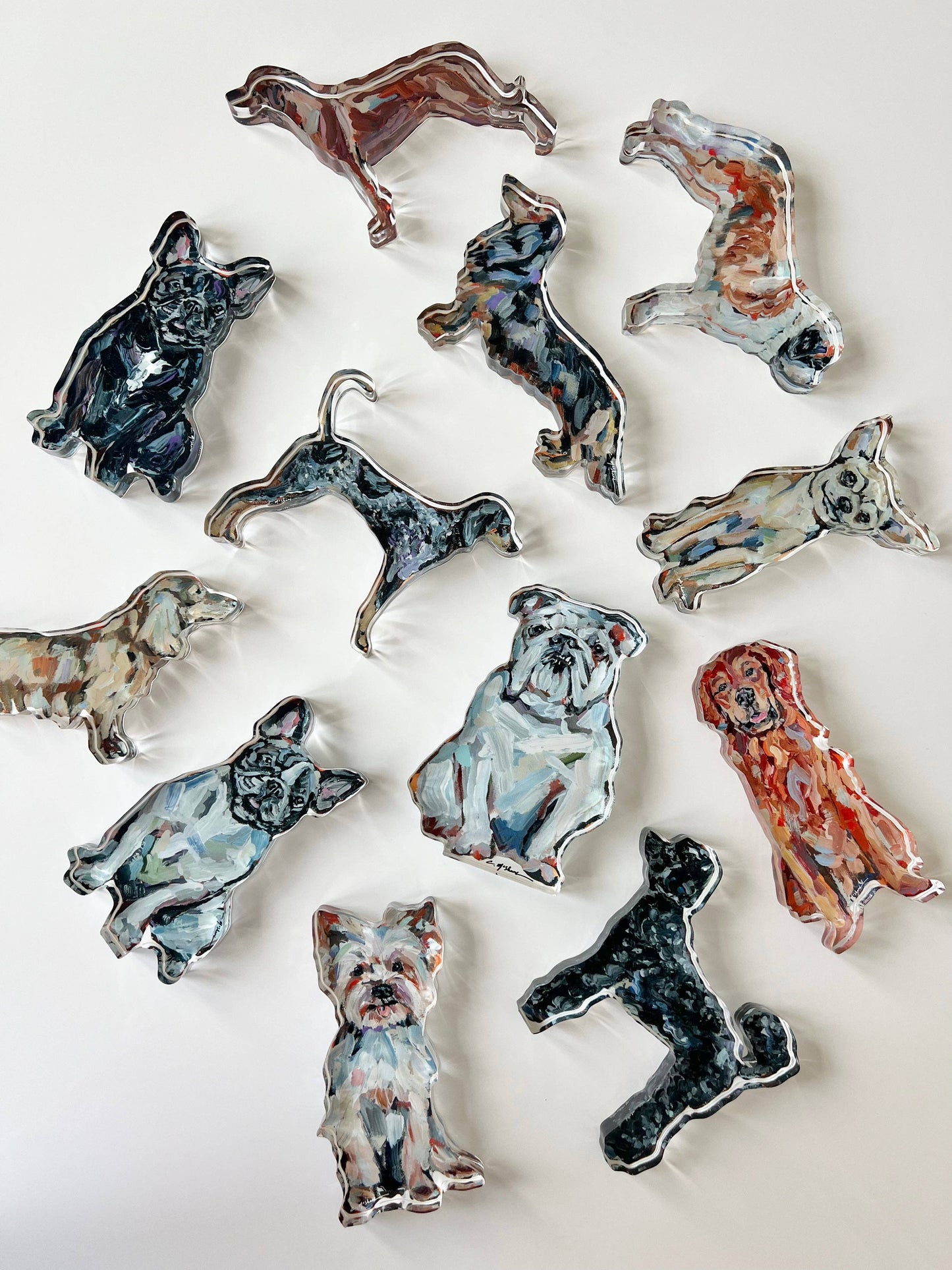 "English Bulldog White" acrylic shelfie