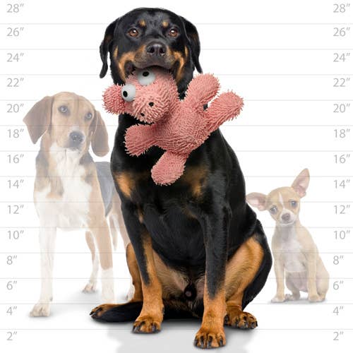 Mighty Microfiber Ball Pig, Durable, Squeaky Dog Toy