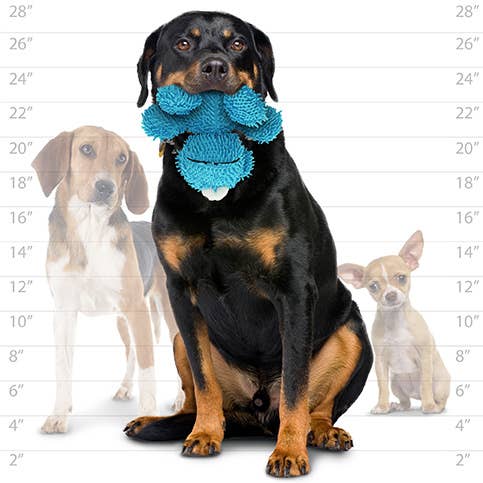 Mighty Microfiber Ball Med Monster, Durable, Squeaky Dog Toy