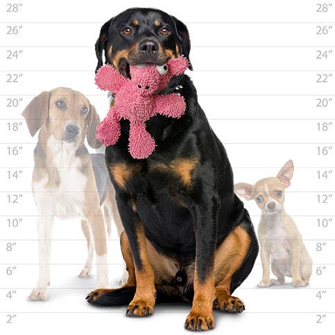 Mighty Microfiber Ball Med Pig, Durable, Squeaky Dog Toy