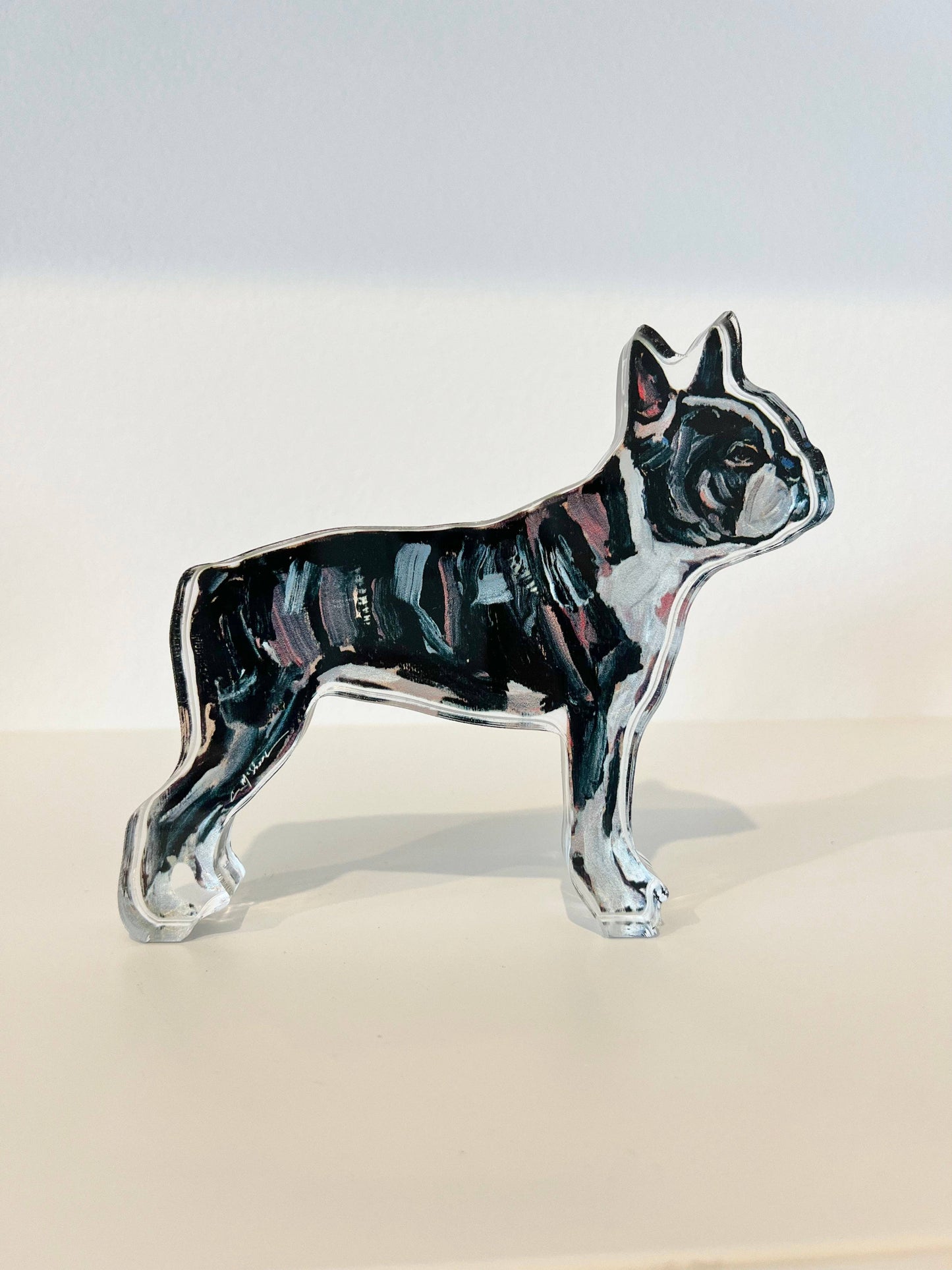 "Boston Terrier" acrylic shelfie