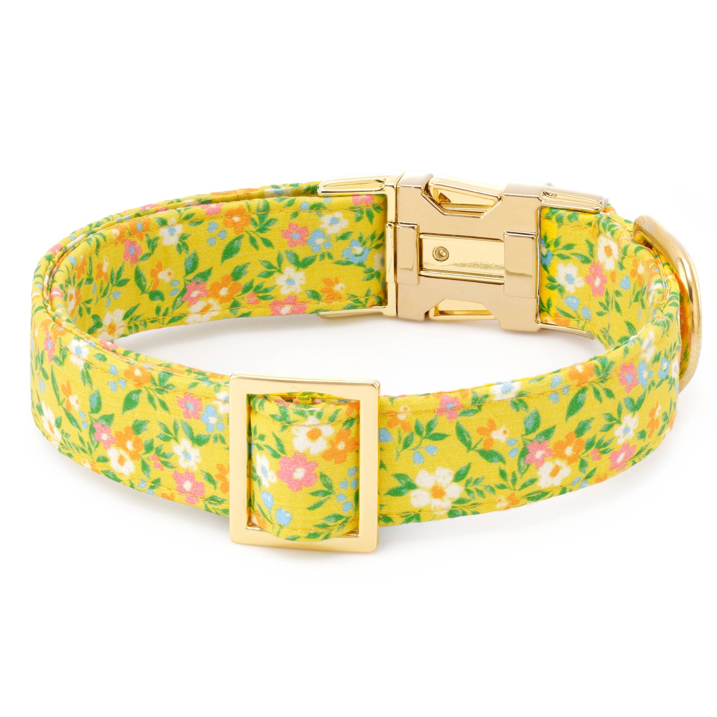 Sunny Meadow Spring Dog Collar