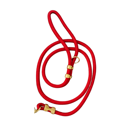 Walk of Champions Leash