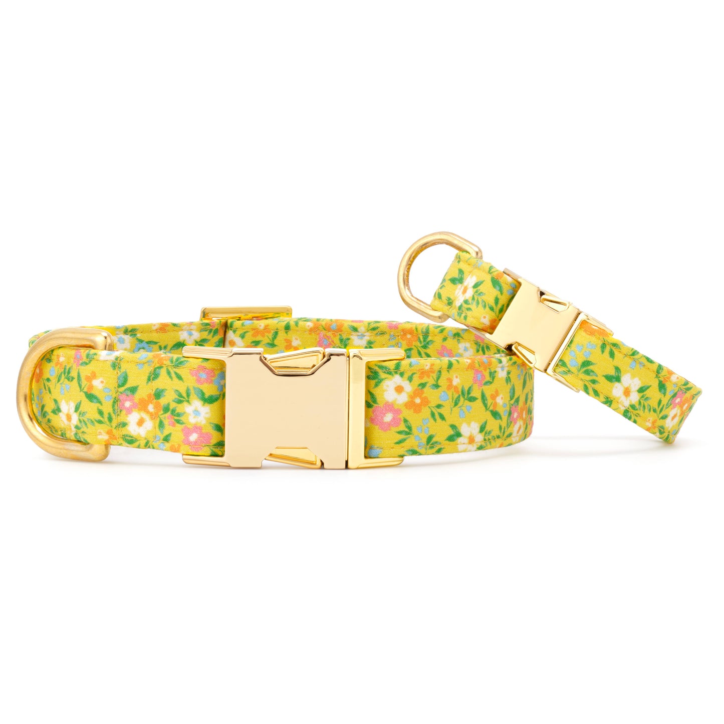 Sunny Meadow Spring Dog Collar