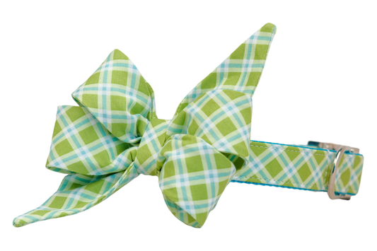 Limeade Plaid Belle Bow Dog Collar