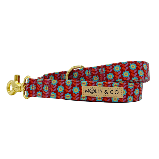 Poppy - Dog Leash