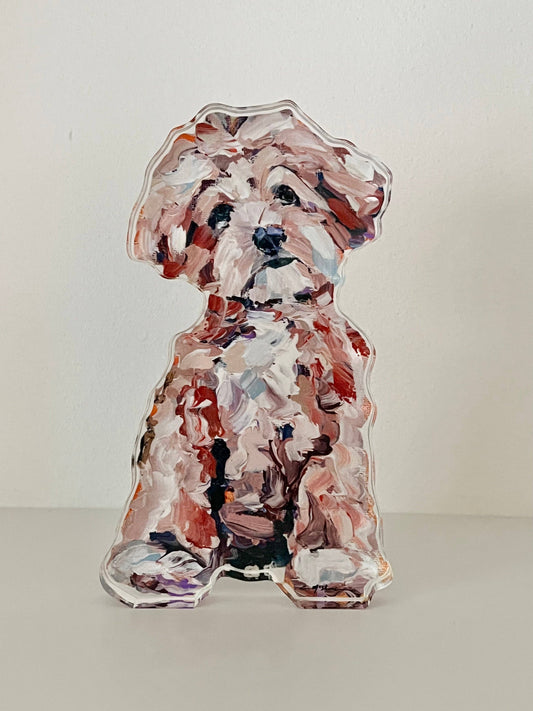 "Maltipoo Apricot" acrylic shelfie