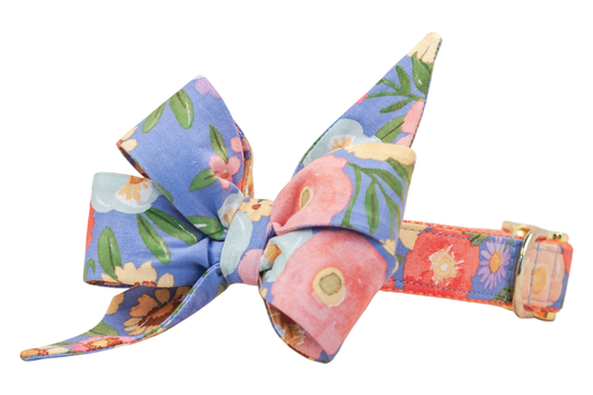 Full Bloom Belle Bow Dog Collar