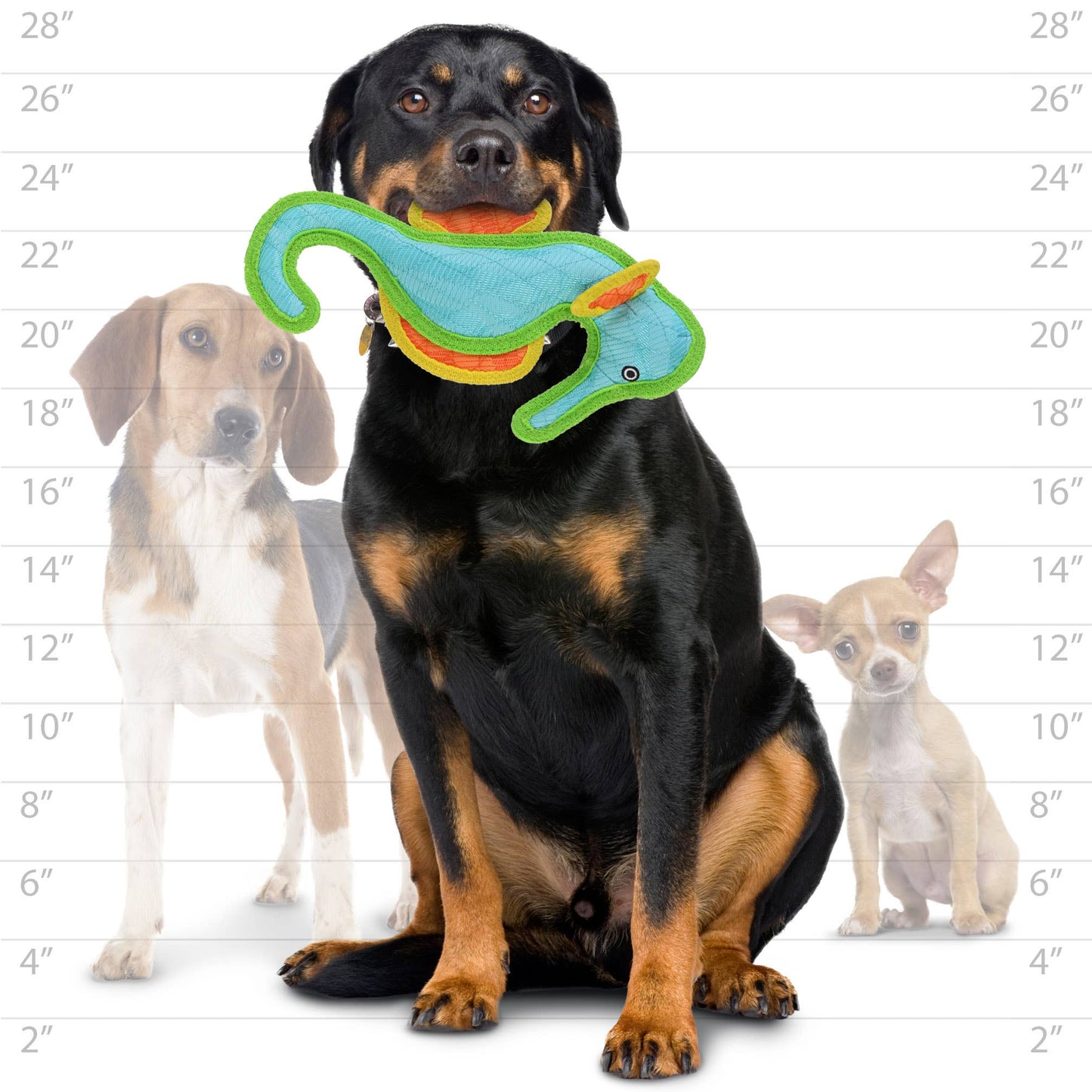 DuraForce Seahorse - Blue, Durable, Squeaky Dog Toy