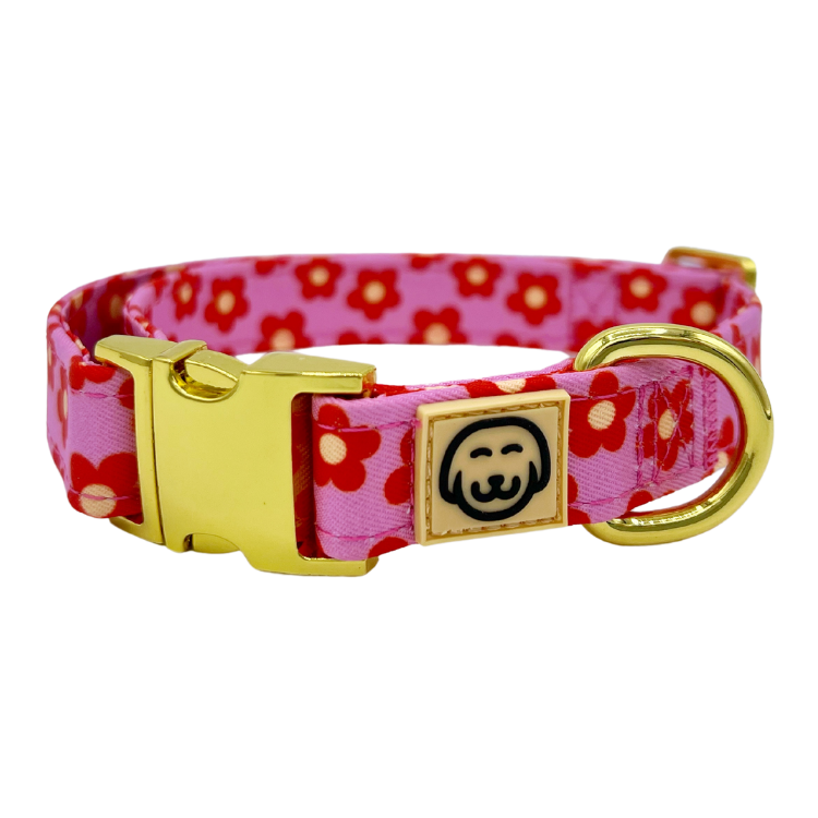 Wildflower - Dog Collar