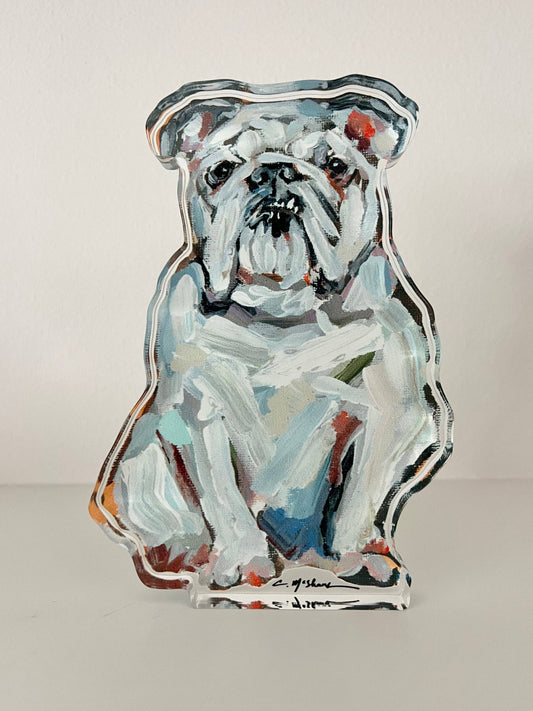 "English Bulldog White" acrylic shelfie