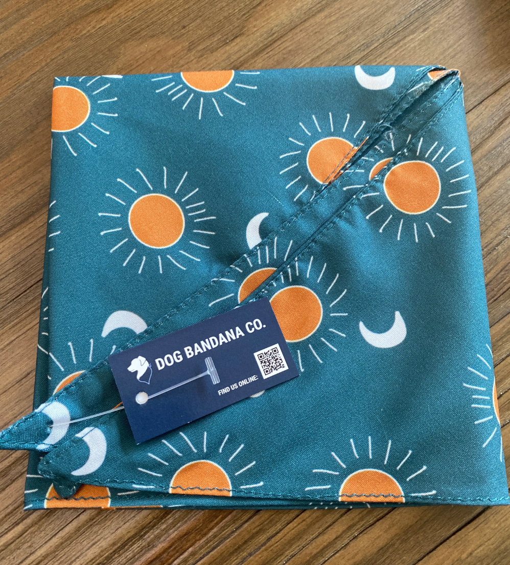 Summer Beach Dog Bandana