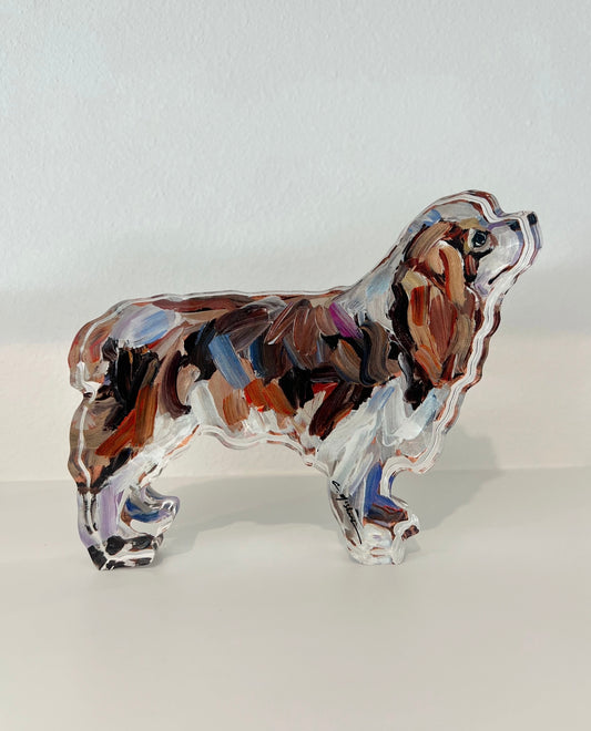 Dachshund Black/Brown Long Hair