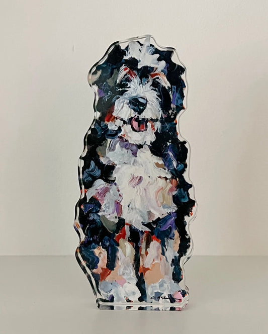 Bernedoodle