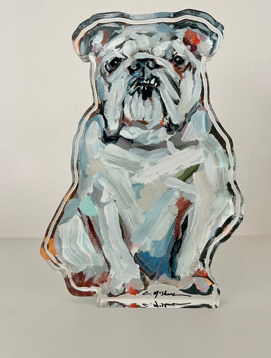 Bulldog White