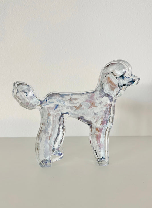 White poodle
