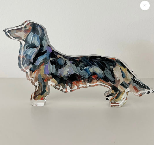 Dachshund