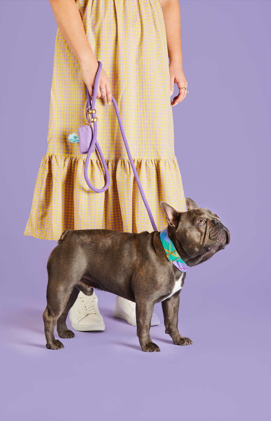 Violet Valentine's Day Marine Rope Dog Leash
