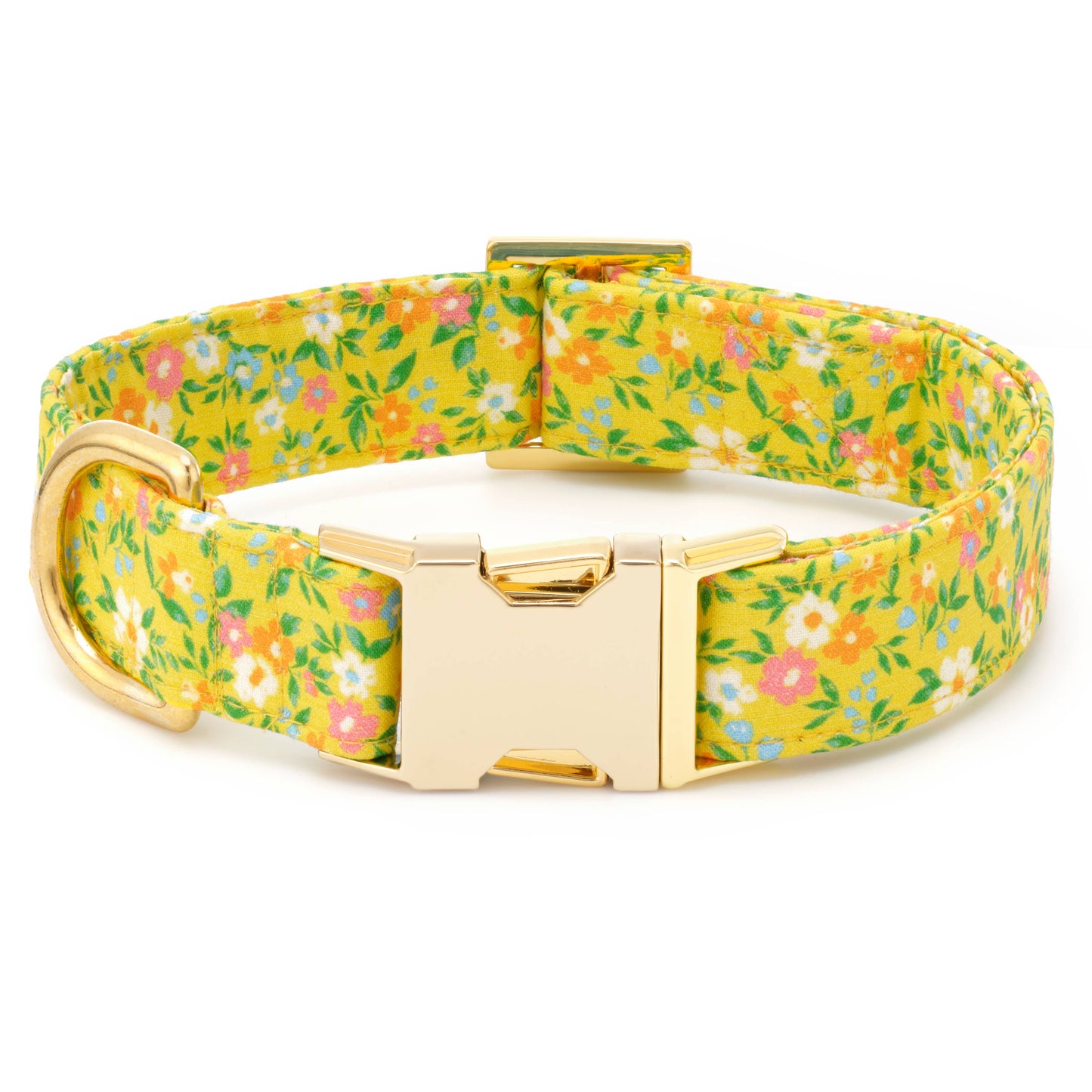 Sunny Meadow Spring Dog Collar