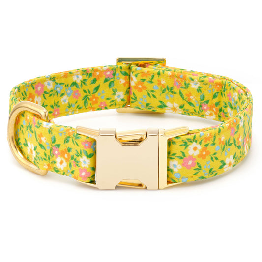 Sunny Meadow Spring Dog Collar
