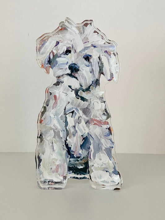 "Maltipoo White" acrylic shelfie