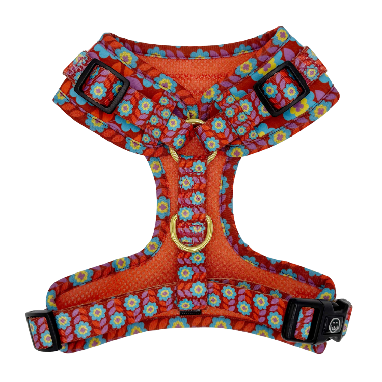 Poppy - Adjustable Dog Harness