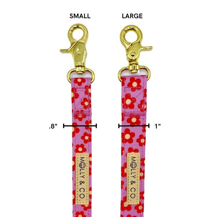 Wildflower - Dog Leash