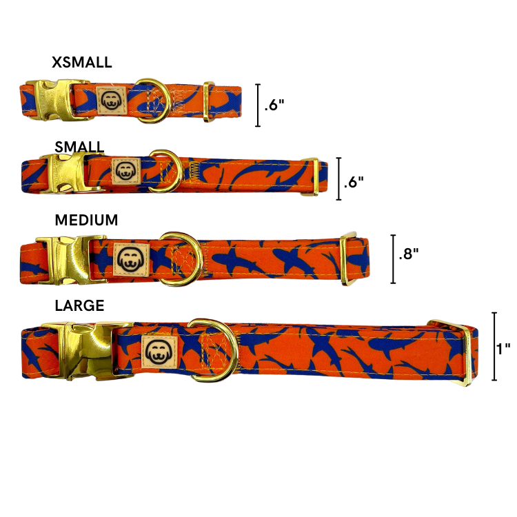 Sharks - Dog Collar