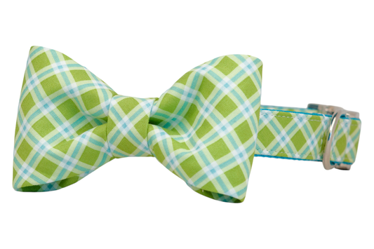 Limeade Plaid Bow Tie Dog Collar